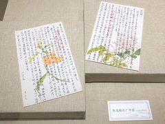 -烟台市博物馆