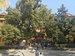 -宝通禅寺