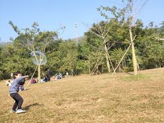 -田心森林公园