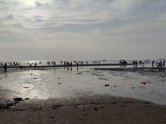 -东戴河风景区-止锚湾