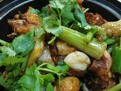 -鸽王世家(东华东路店)