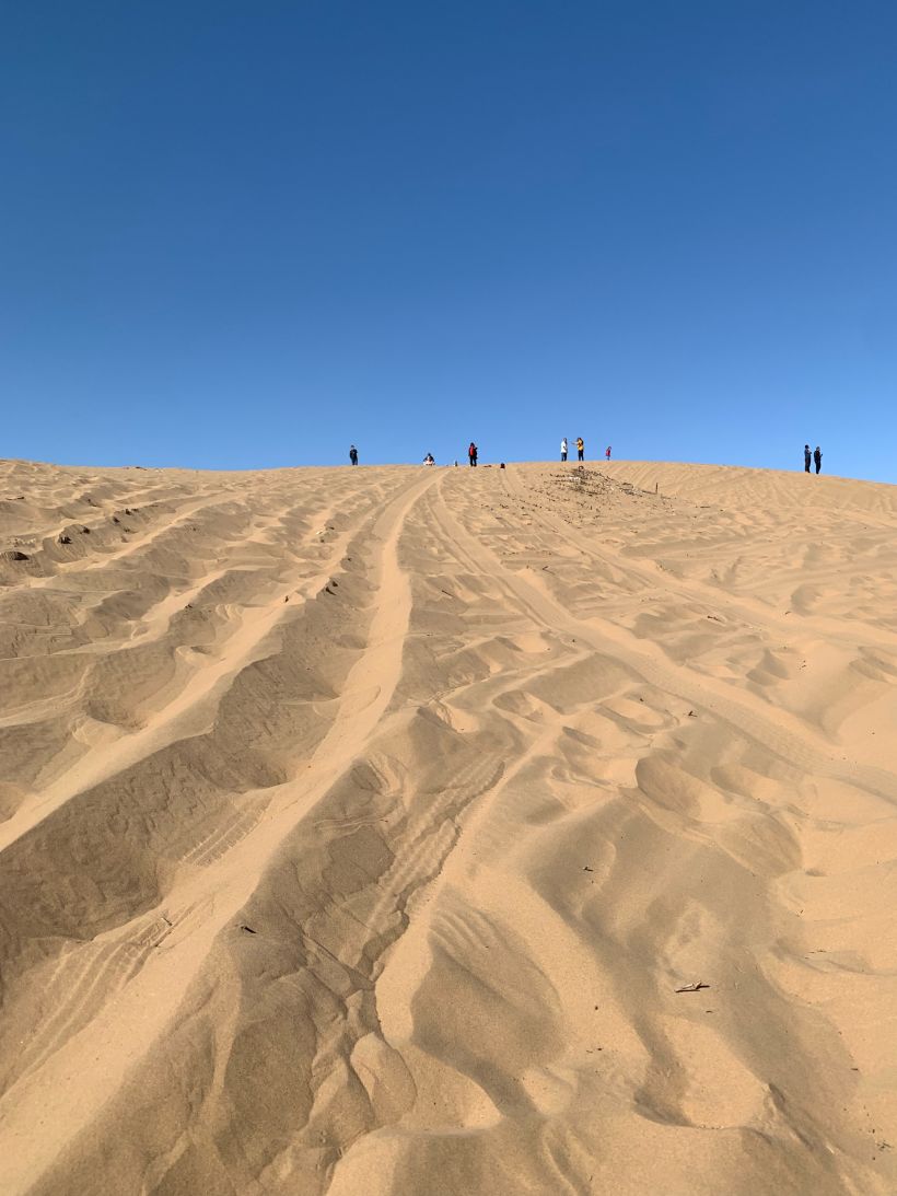 内蒙古库布齐沙漠