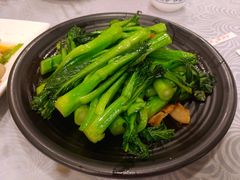 生炒连州菜心-粤·向群饭店(龙津东路总店)
