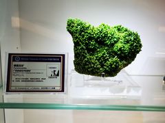 -中国地质大学逸夫博物馆