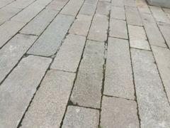 -碧江金楼