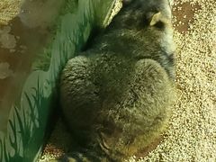 -海合安天津极地海洋公园