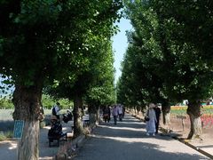 -富田农场