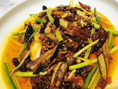 -铁公鸡·四川料理(天环广场店)