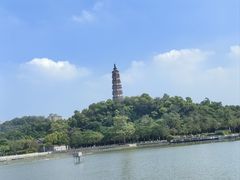 -顺峰山公园
