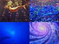 -海合安武汉极地海洋公园