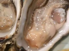 -泉寿司(万科公园店)