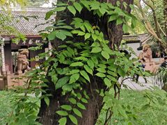-成都杜甫草堂博物馆