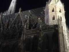 -斯蒂芬主教座堂(Stephansdom)
