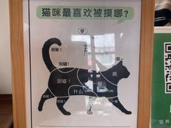 -有猫主题·治愈系猫咖(曾厝垵店)