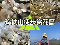 -鸡枕山