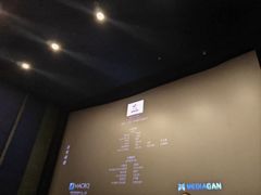 -华谊兄弟影院(IMAX洋桥店)