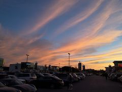 -DM CHICKEN 分米鸡