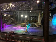 -清迈夜间动物园