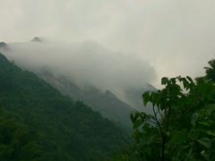 -祁门牯牛降观音堂风景区