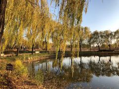 -安德鲁户外烧烤帐篷营地(马泉营店)