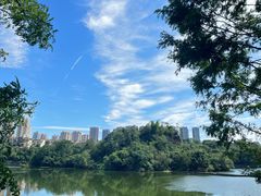 -重庆彩云湖湿地公园