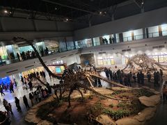 -自贡恐龙博物馆