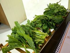 -蘑统田下·野生菌火锅