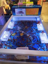 -贝悠悠(华宇时尚店)