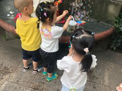 -神仙树公园