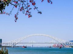 -芒洲湿地公园