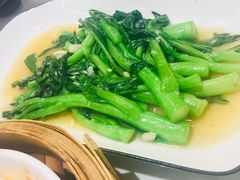 -南枝记