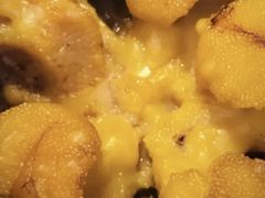 -海胆小馆(东北水饺·春柳店)