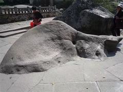 -兰剑驾校(汉阳校区)