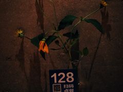 -一坐一忘云南菜(北京skp店)