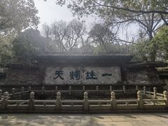 -鲁镇