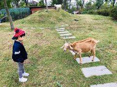 -上海滴水湖皇冠假日酒店