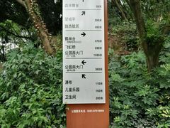 -金鸡山公园