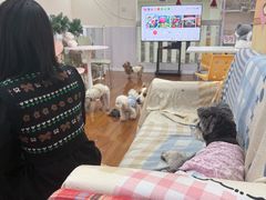 -汪说·狗咖·拼豆·宠物周边DIY(旺城大厦店)