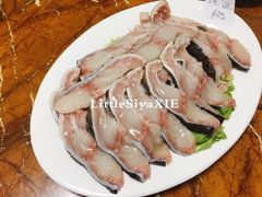 -金砂阿洲鱼册店