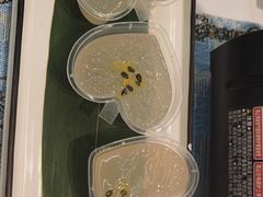 -刘姐啤酒鱼民族演艺餐厅(西街总店)