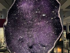 -美国自然历史博物馆