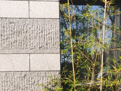 -柯岩风景区