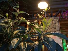 -源一咖啡馆(麒麟巷步行街店)