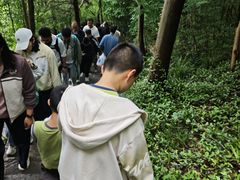 -采石矶景区