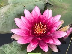 -素心小筑(后沙裕镇店)