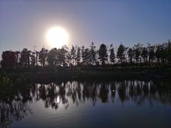 -春花秋色城市公园