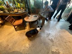 -自由生长植物工作室(深港花卉中心店)