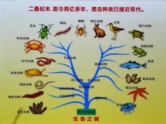 -上海昆虫博物馆