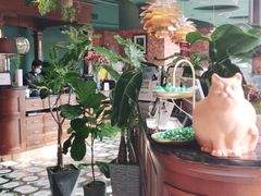 大堂-星叶·东南亚料理(宁波万象汇店)