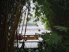 -成都市活水公园